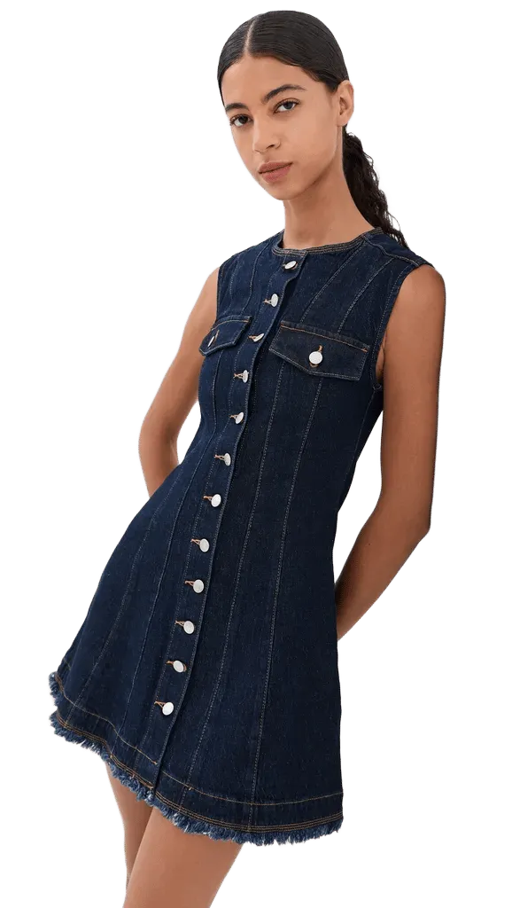 Hanley Denim Mini Dress