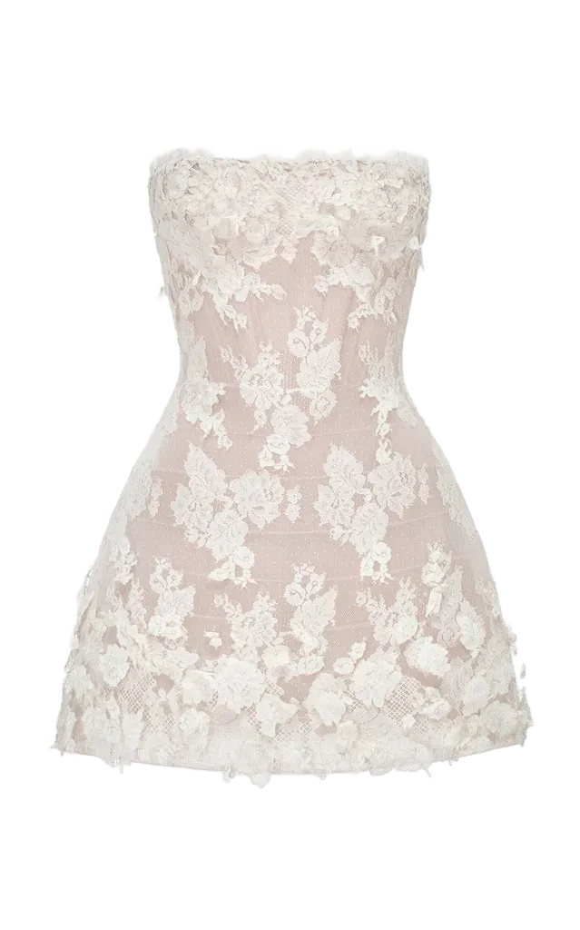 3D Floral Lace Mini Dress