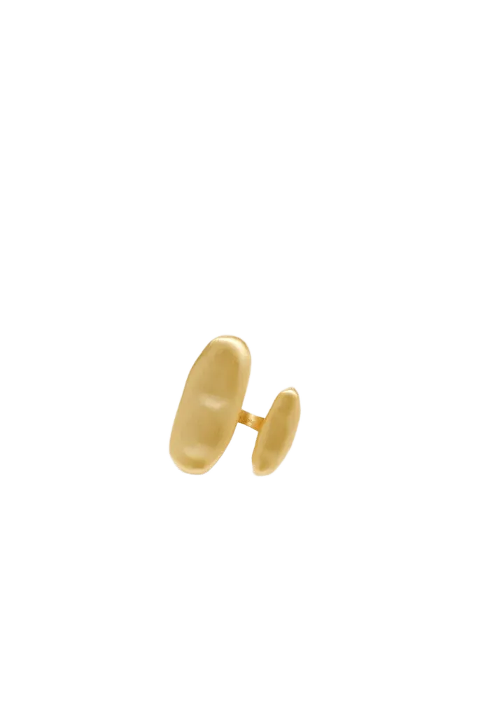 AMI RING