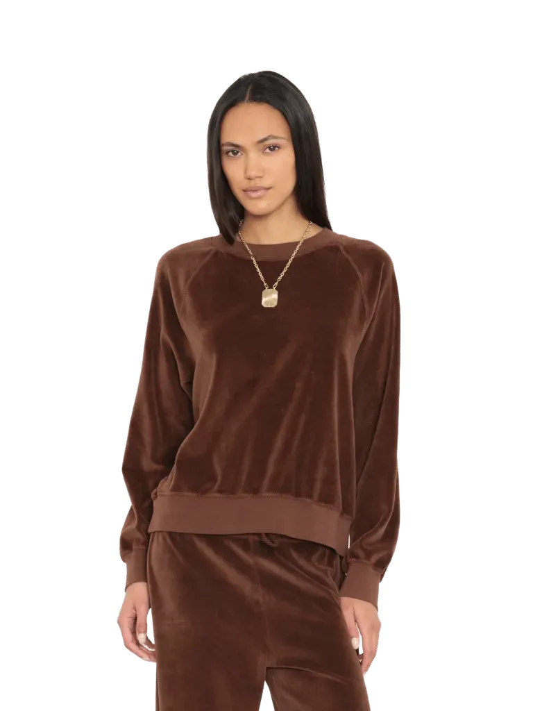 Mocha Brown Pierre Velour Sweatshirt
