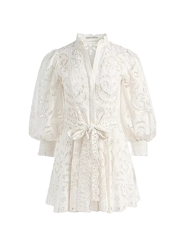 Lucy Embroidered Cotton Mini Shirtdress