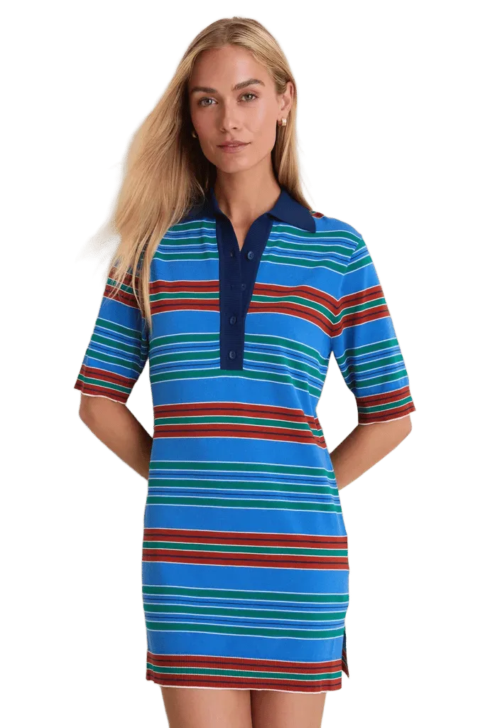 Juan Stripe Aldo Mini Dress