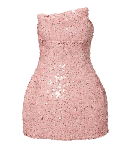 Karter embellished bustier dress