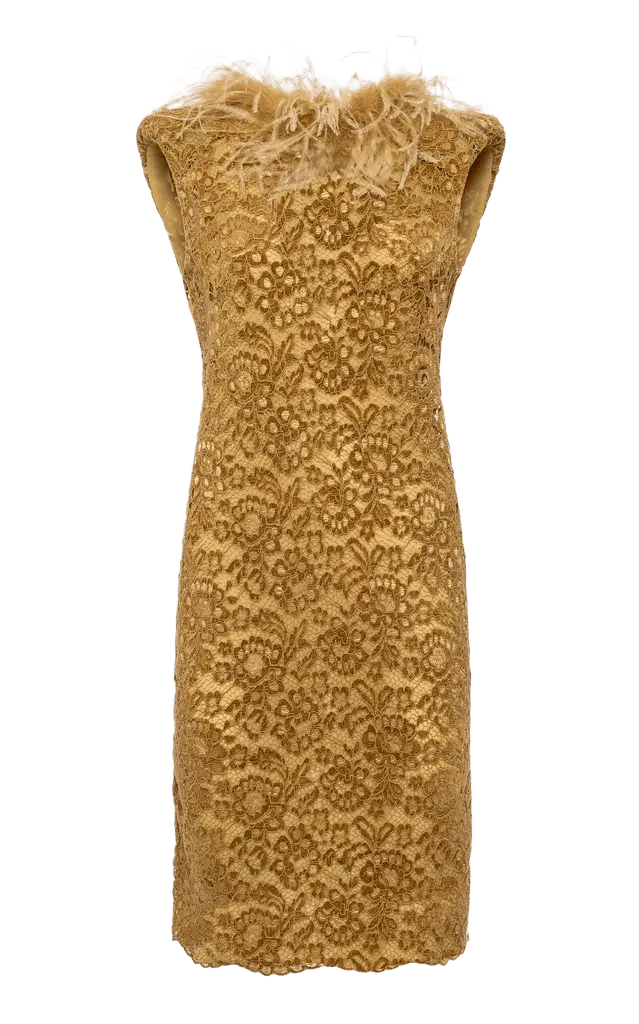 Feather-Trimmed Lace Mini Dress