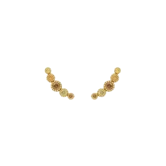 Natural Color Golden Hour Studs