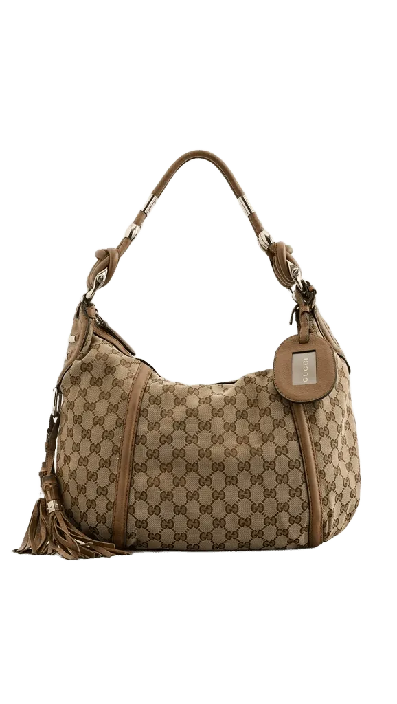 Gucci Brown Canvas Techno Horsebit Hobo Bag