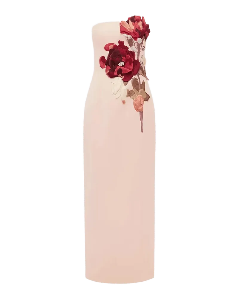 Rayna Floral-Embroidered Strapless Maxi Dress