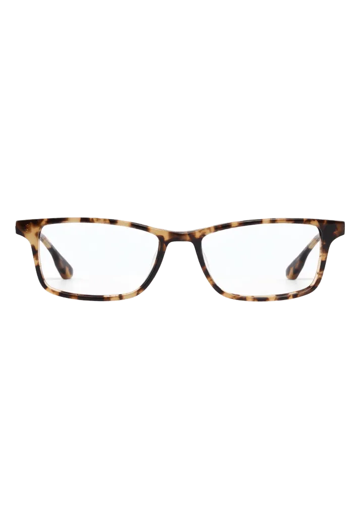 MORGAN | Nikko Tortoise