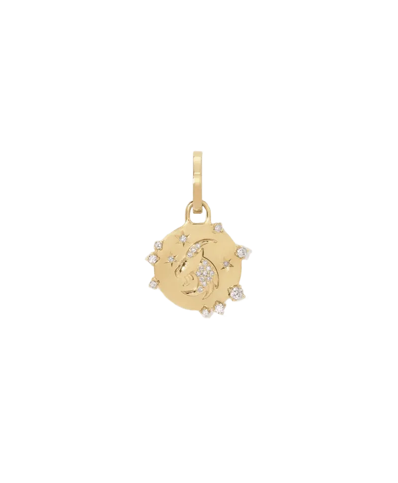 Zodiac Diamond Capricorn Hinged Charm