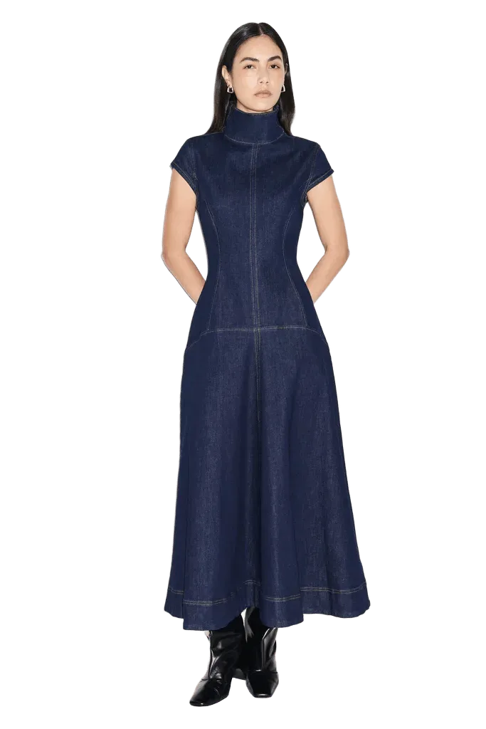 Monroe Denim Maxi Dress