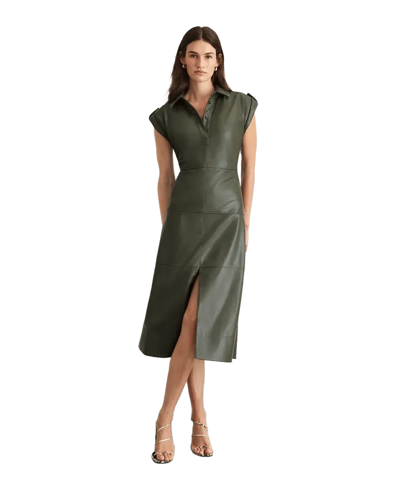 Shivi Dress