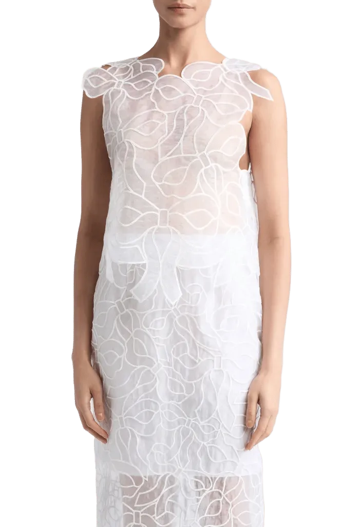 Aya Embroidered Crop Organza Top