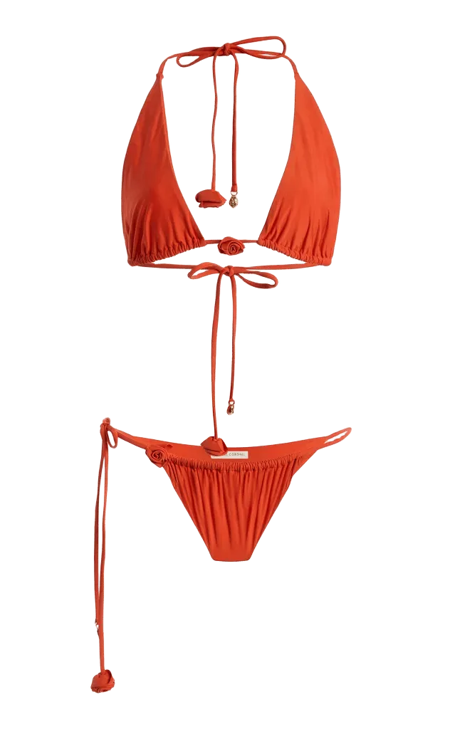 Trama Bikini