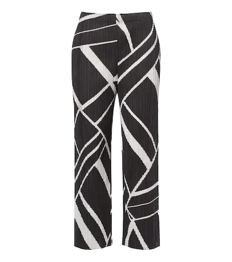 Fold Line pleated printed wide-leg pants