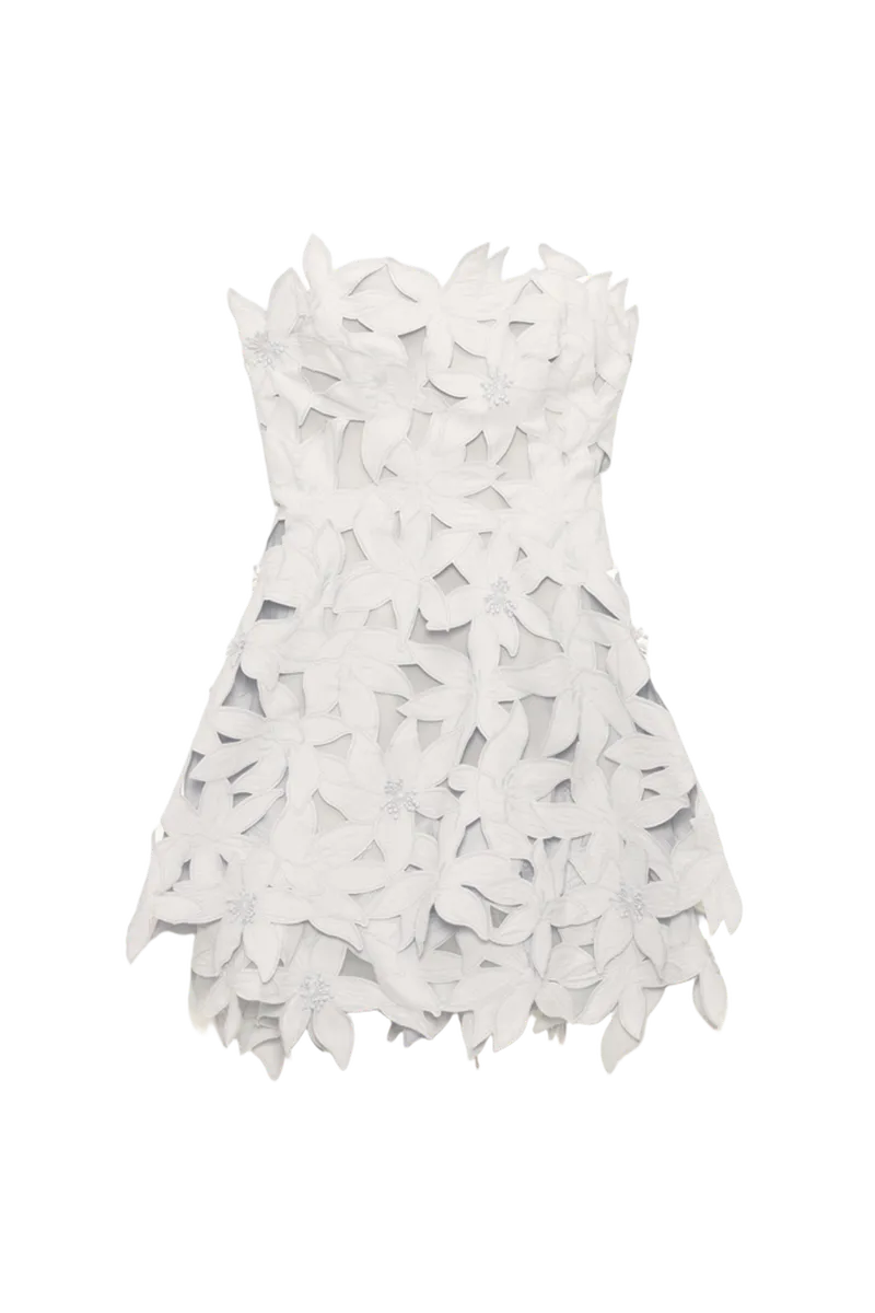 Miri Embroidered Cotton Bustier Mini Dress