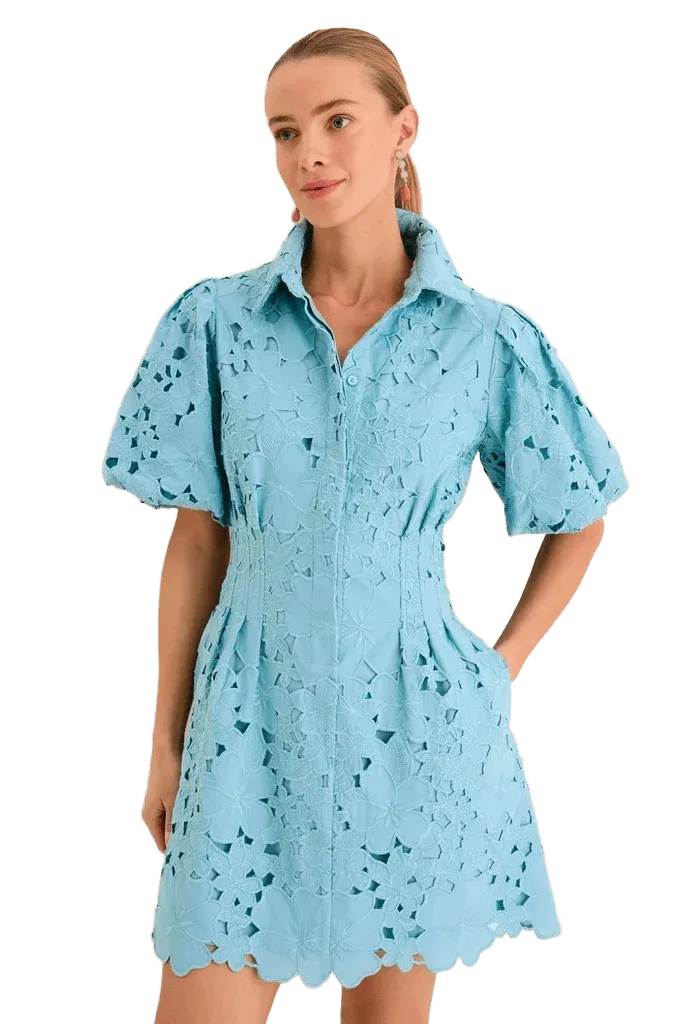 Cameo Blue Eyelet Mini Delaney Dress