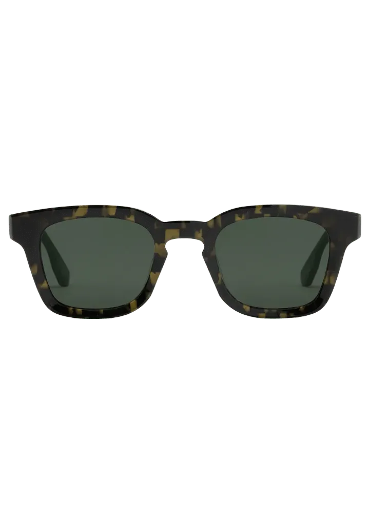 HARRISON | Tortuga Noir