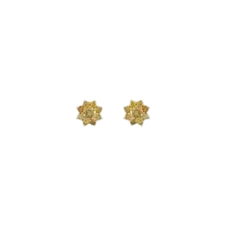 Natural Color Sunburst Studs