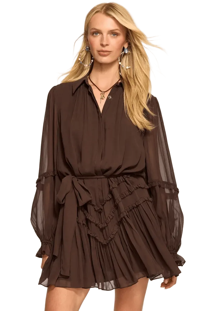 Maya Silk Ruffled Long Sleeve Dress