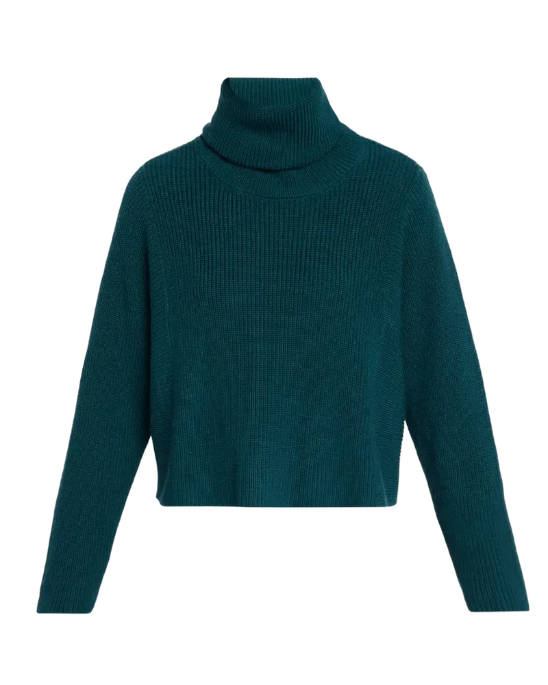 Ribbed Wool Turtleneck Sweater