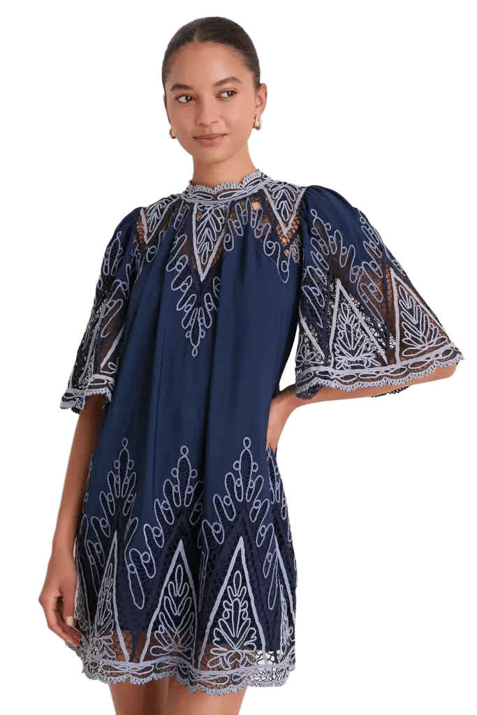 Blue Vali Embroidery Mini Dress