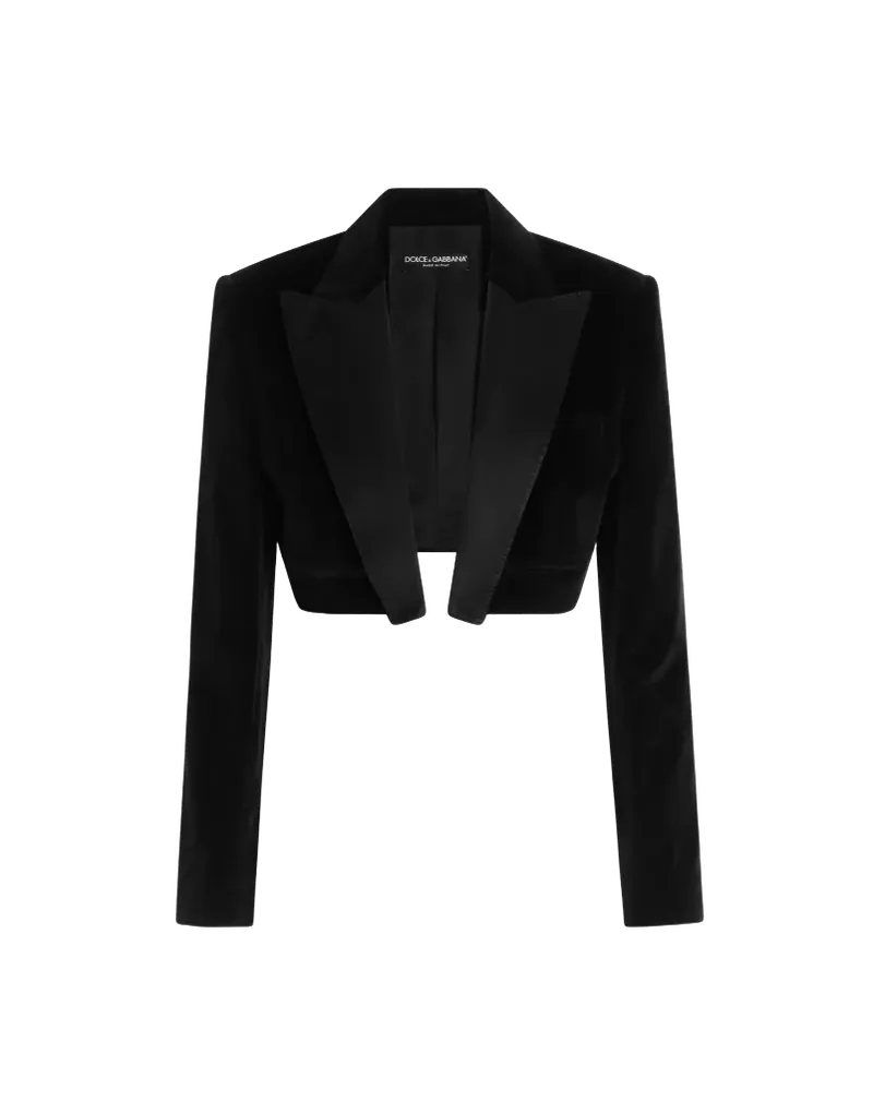 Velvet Spencer tuxedo jacket in Black