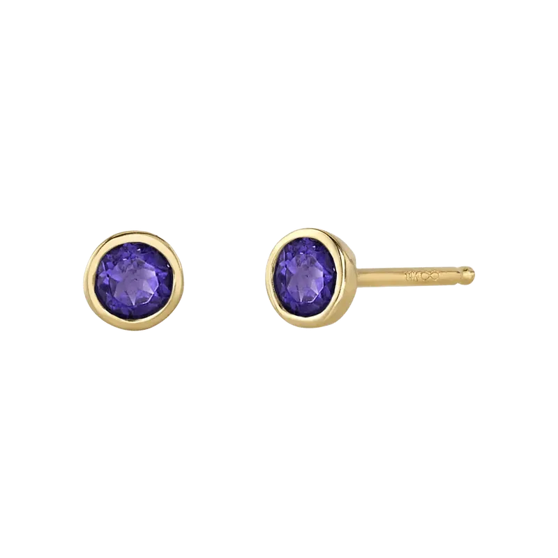 Amethyst Birthstone Earrings