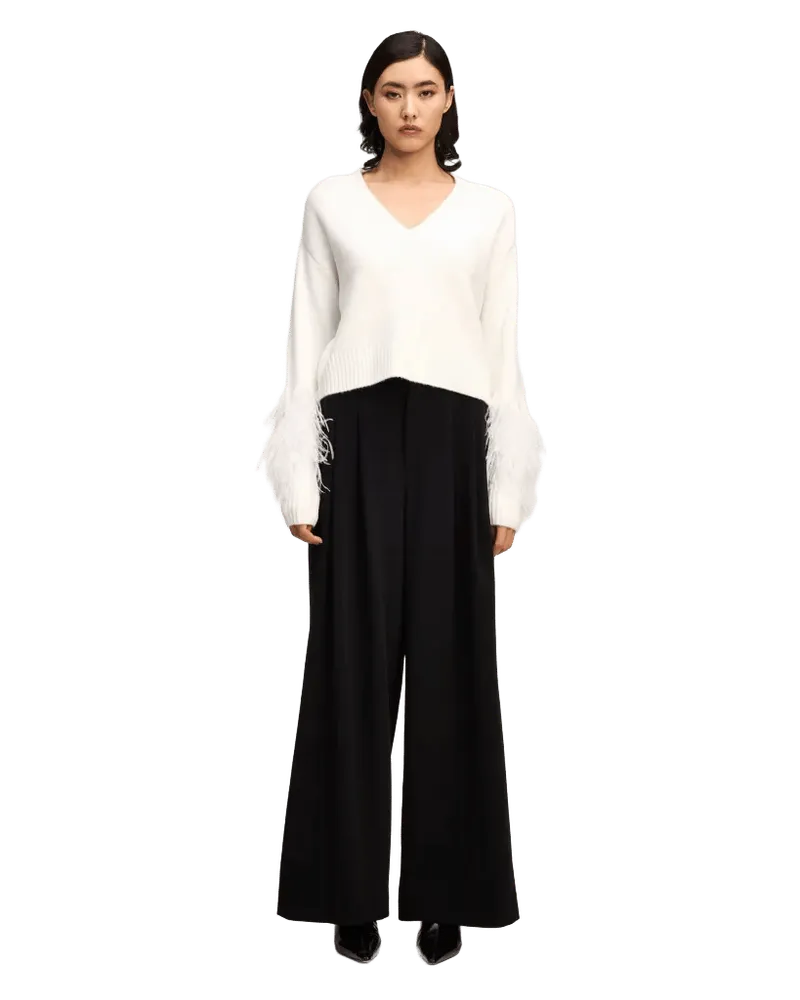Brianne Feather V Neck Pullover