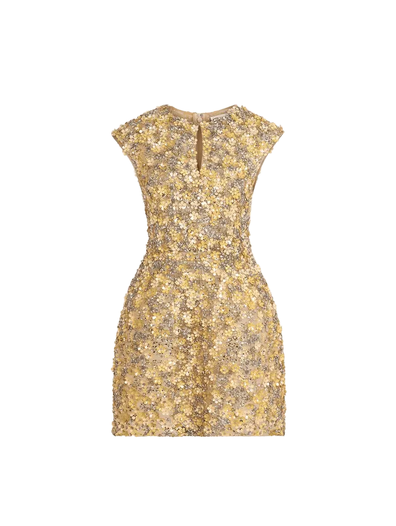 Porcelain Flower Embroidered Cap-Sleeve Dress