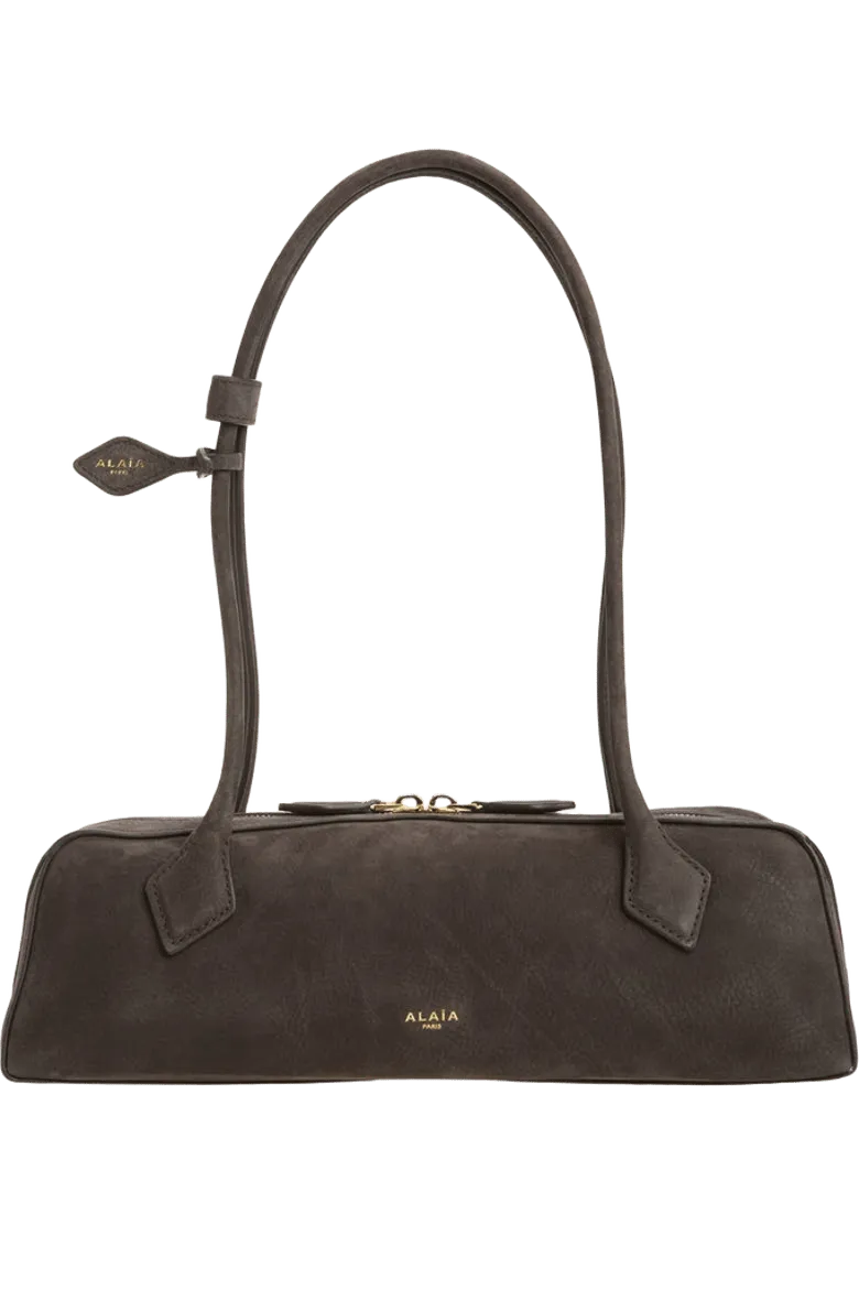 Medium Le Teckel Suede East/West Shouder Bag