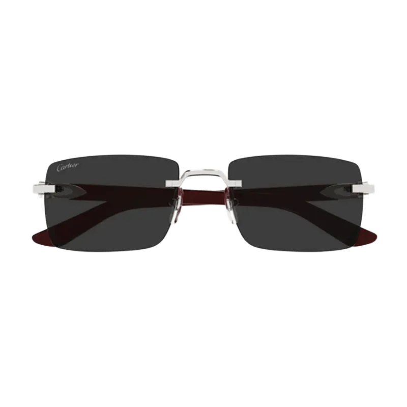 Cartier Eyewear CT0579S Rectangular Sunglasses — Brown