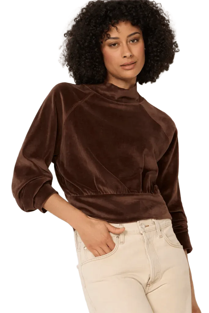 Erin Velour Mock Neck Top