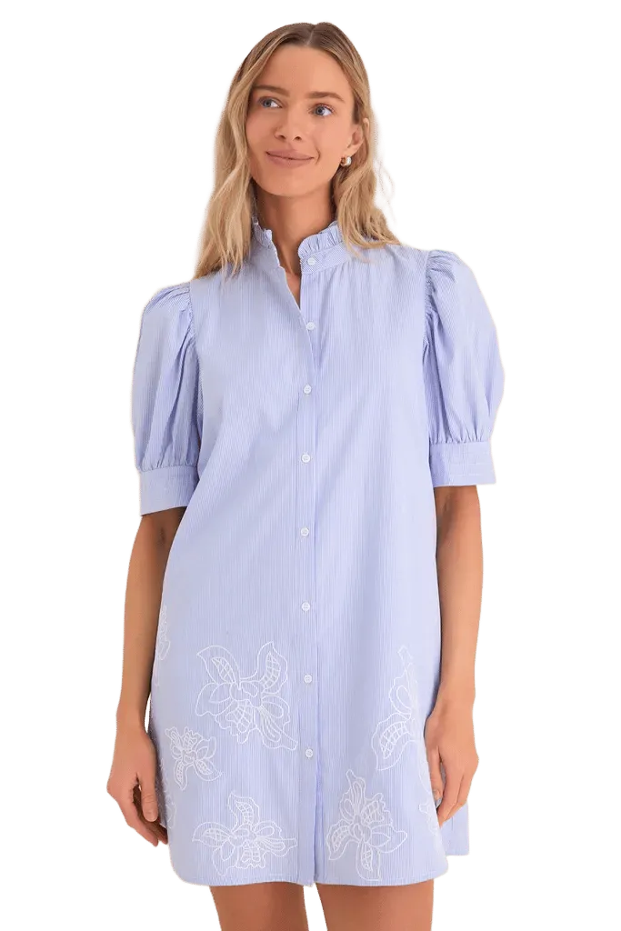 Blue Embroidered Pinstripe Louisa Mini Dress