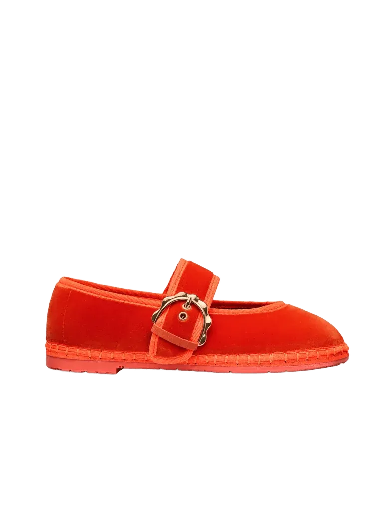 Lady Sophie Orange