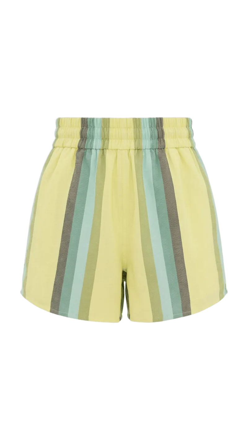The High Waisted Shorts