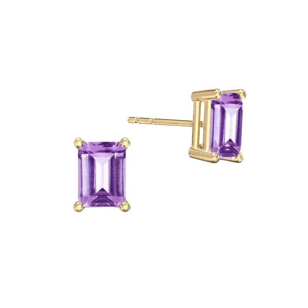 Warren Amethyst Stud Earrings
