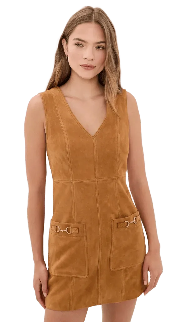 Sloane Suede Mini Dress