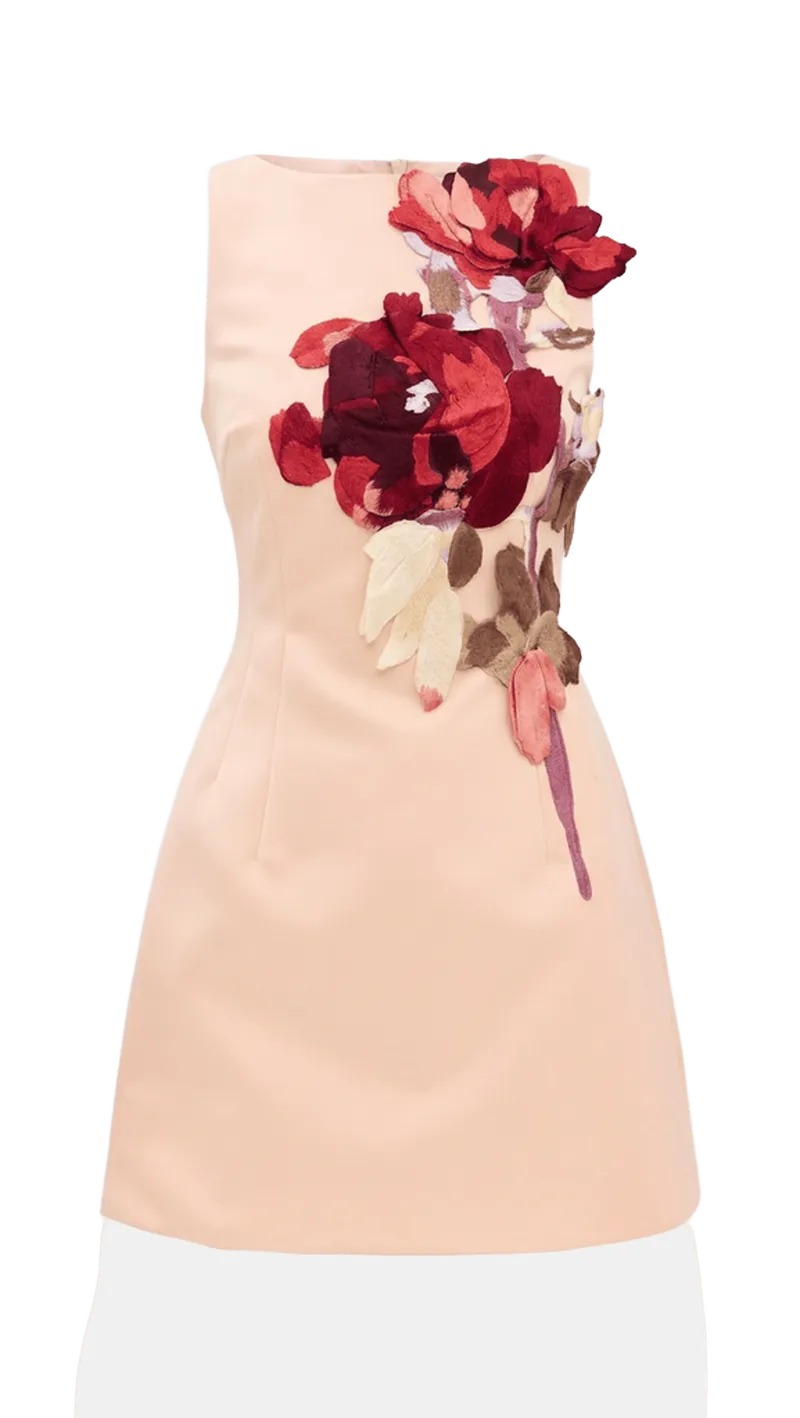 Ali Embroidered Boat Neck Mini Dress